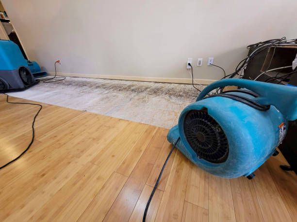 Professional Structural Drying technician working in North Jackson, OH